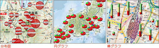 分布図、円グラフ、棒グラフ