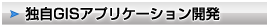 独自GISアプリケーション開発